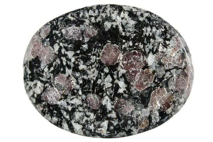 1.5" Polished Garnets in Matrix Worry Stone - Photo 1